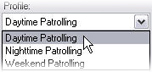 Example of a patrolling profiles list.