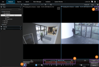 Export video data starting on the Playback tab.
