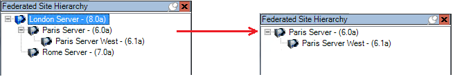 Beispiel eines föderalen Standorts in der Management Client.