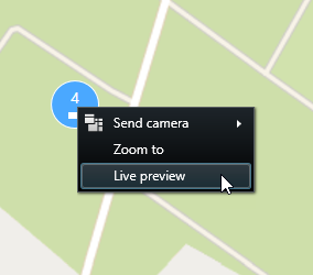 Menu for a cluster after a user right-clicked the cluster.