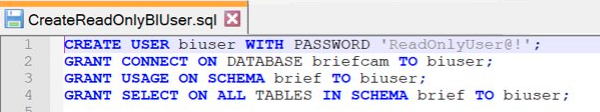 CreateReadOnlyBIUser_file.png
