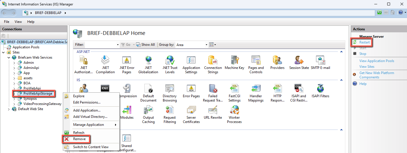 ProWebApiStorage remove.png