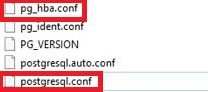 pg_hba conf file.png