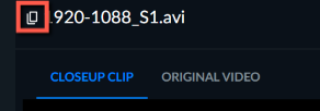 Copy synopsis icon on screen.png