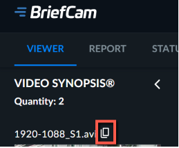 Viewer copy.png