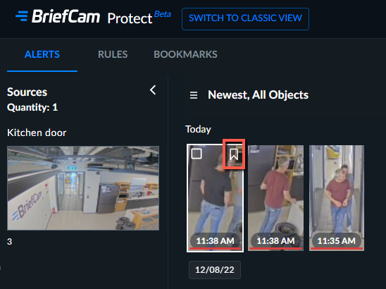 Bookmark icon in scene.png