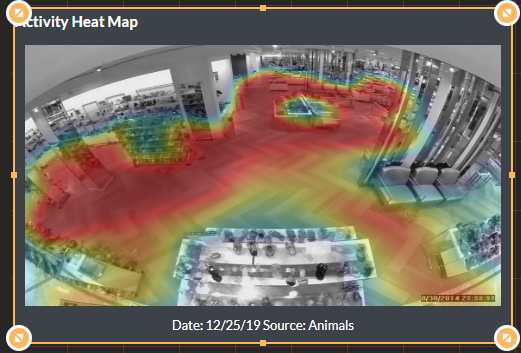 Activity heat map Animals.png