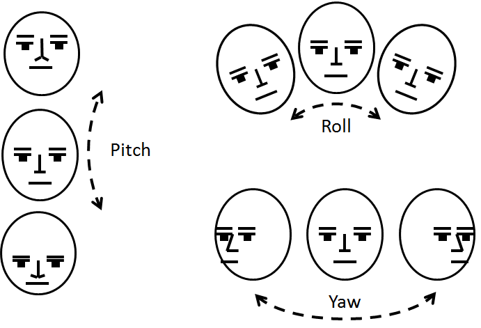 Pitch Roll Yaw.png