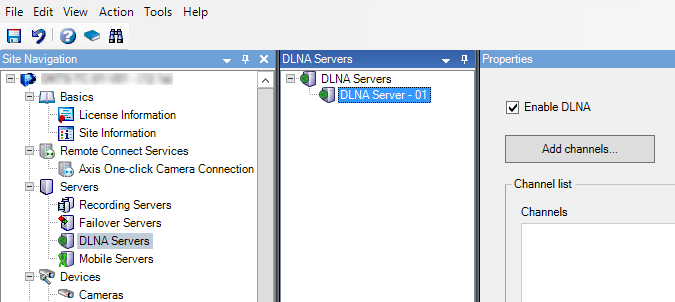 View your DLNA servers from the Servers node.